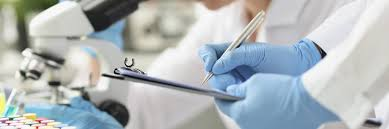 irineshumila.gnomio.com